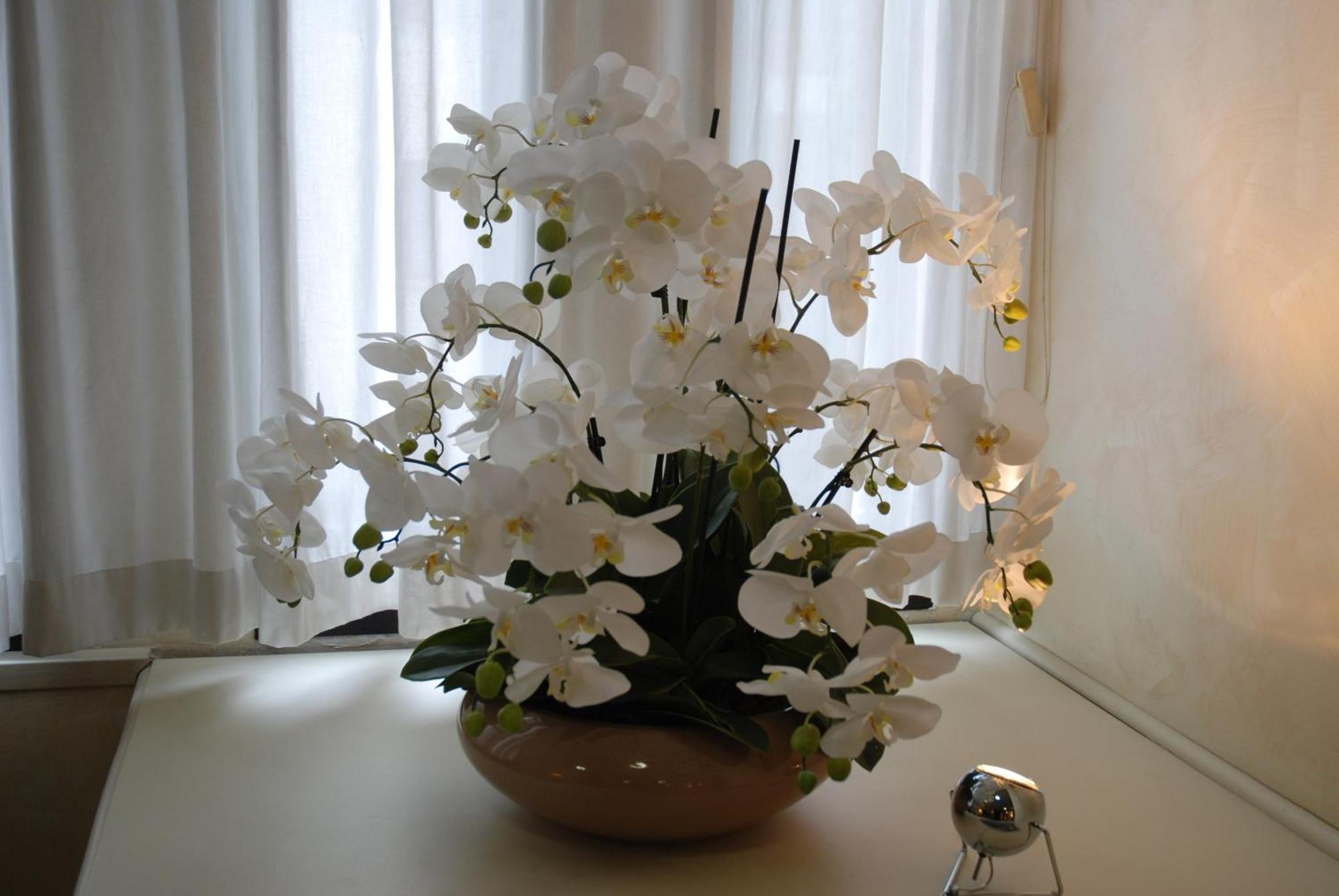Hotel Continental Brescia Roncadelle Екстер'єр фото